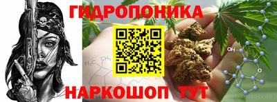 ГАЛЛЮЦИНОГЕННЫЕ ГРИБЫ Малоярославец