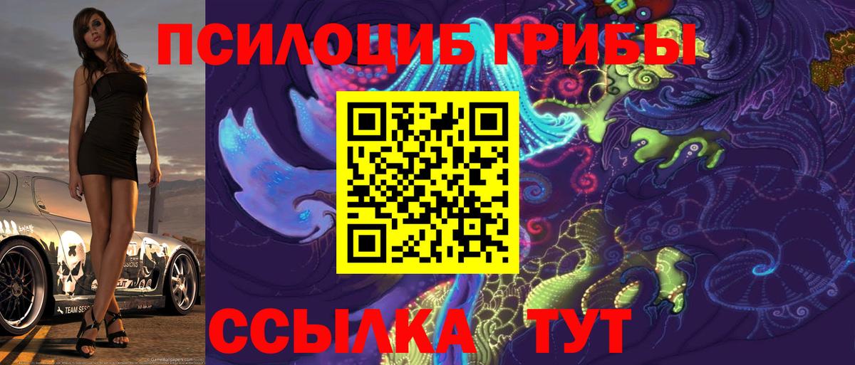 Чебоксары  Псилоцибиновые грибы Psilocybe  Вход с VPN  Галлюциногенные грибы Magic Shrooms 